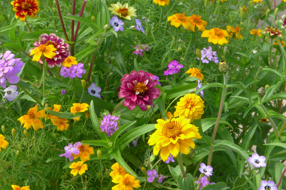 Fotobehang Kleurrijke bloemen op het balkon muur Fotobehang Kleurrijke bloemen op het balkon muur