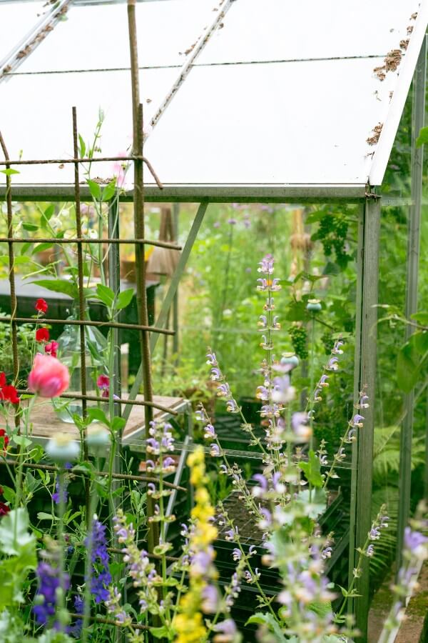 hobbykas met bloeiende bloemen