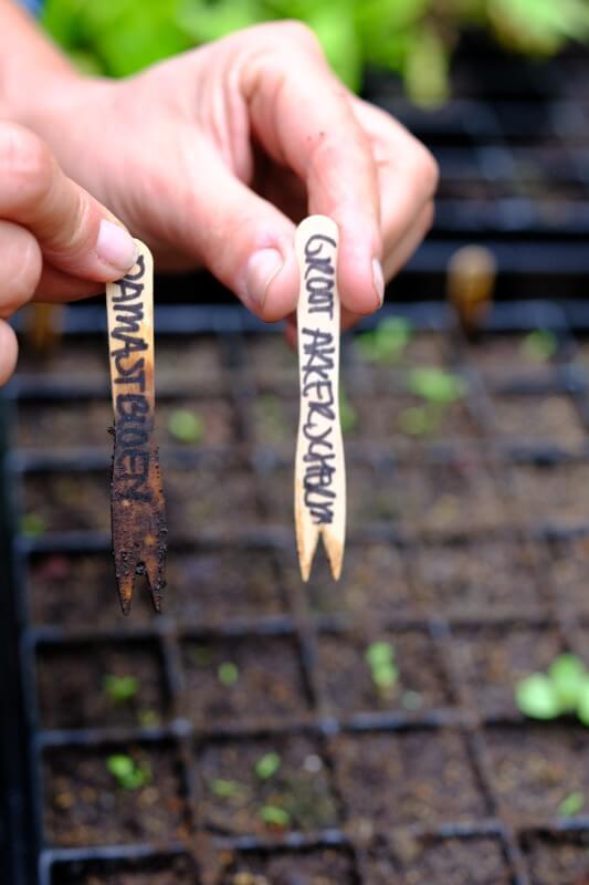 Complete kweekset PRO - Makkelijke biologische moestuin