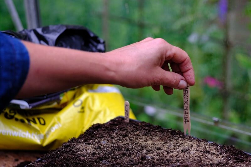 Complete kweekset PRO - Makkelijke biologische moestuin