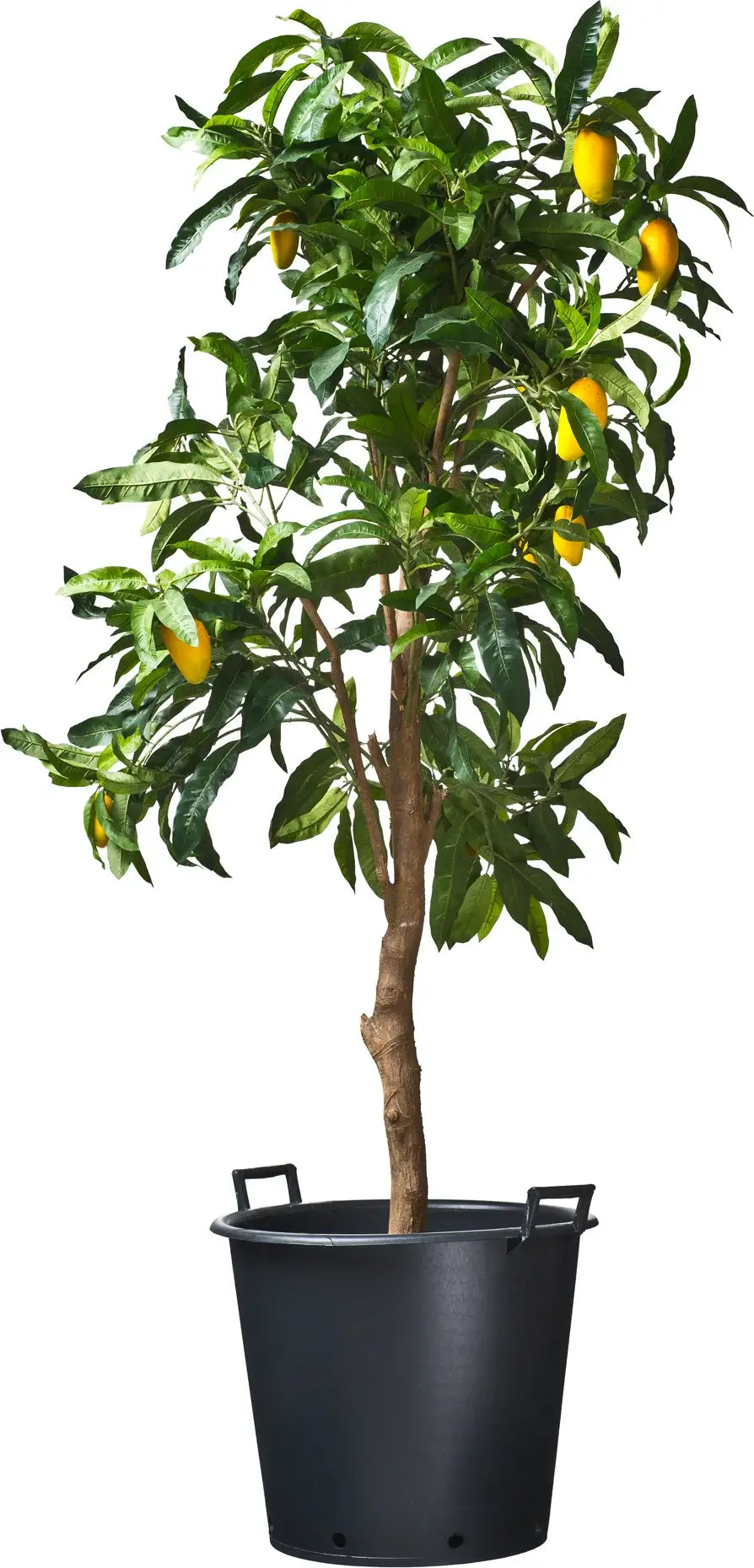 Ritzi plantcontainer 30 liter (ALLEEN AFHALEN)