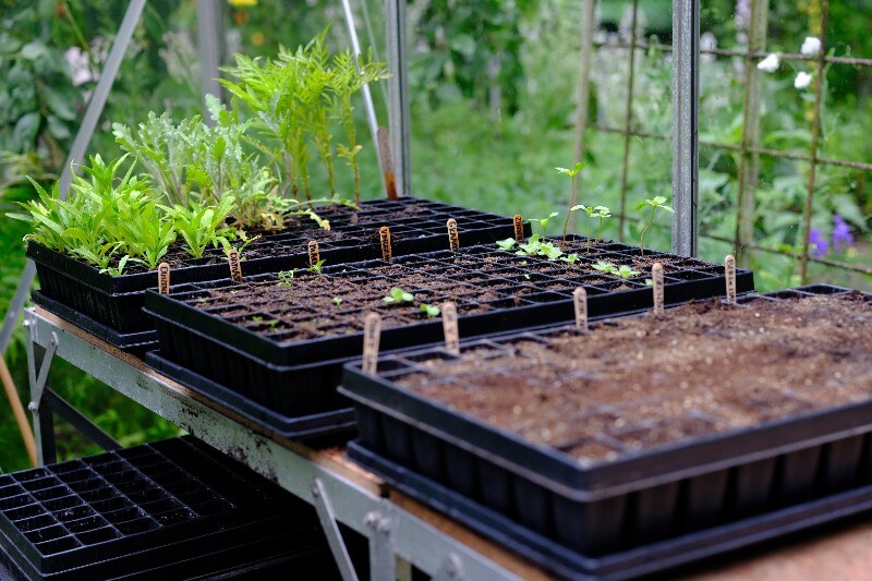 Complete kweekset PRO - Makkelijke biologische moestuin