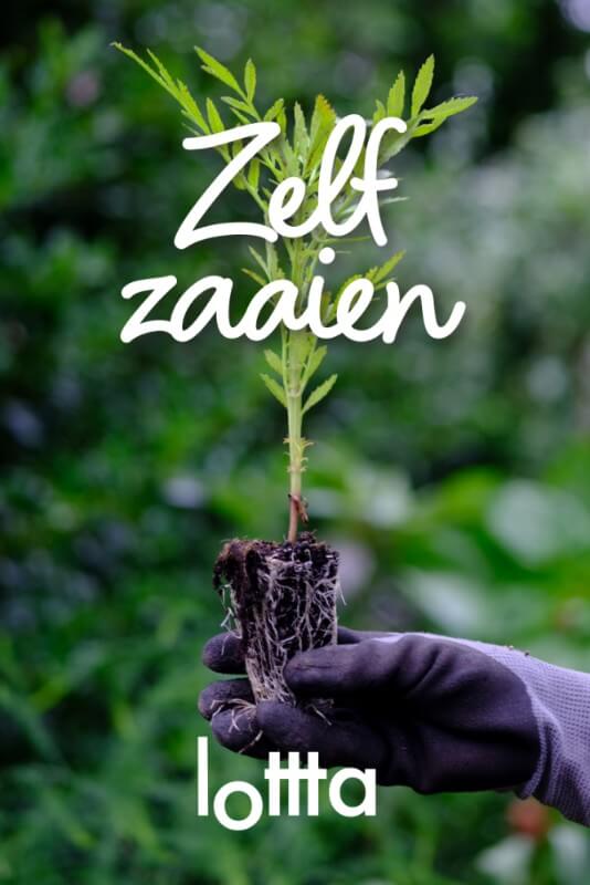 Complete kweekset PRO - Makkelijke biologische moestuin