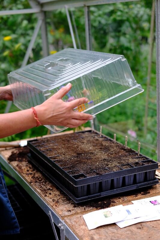 Complete kweekset PRO - Makkelijke biologische moestuin