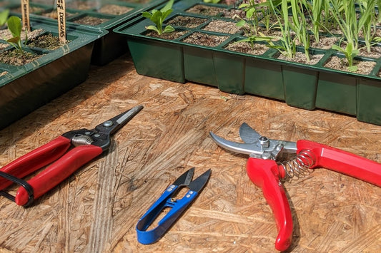 scharenset PRO - 3 scharen - snip schaar, bloemenschaar en snoeischaar