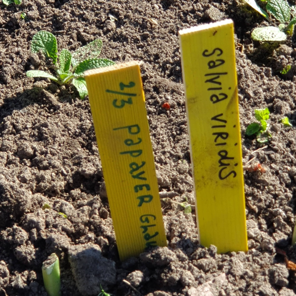 steeketiket plantlabel 20 x 2 cm hout geel in de grond