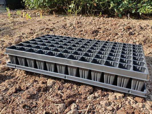 zaaitray 84 pots 8 cm met onderplaat