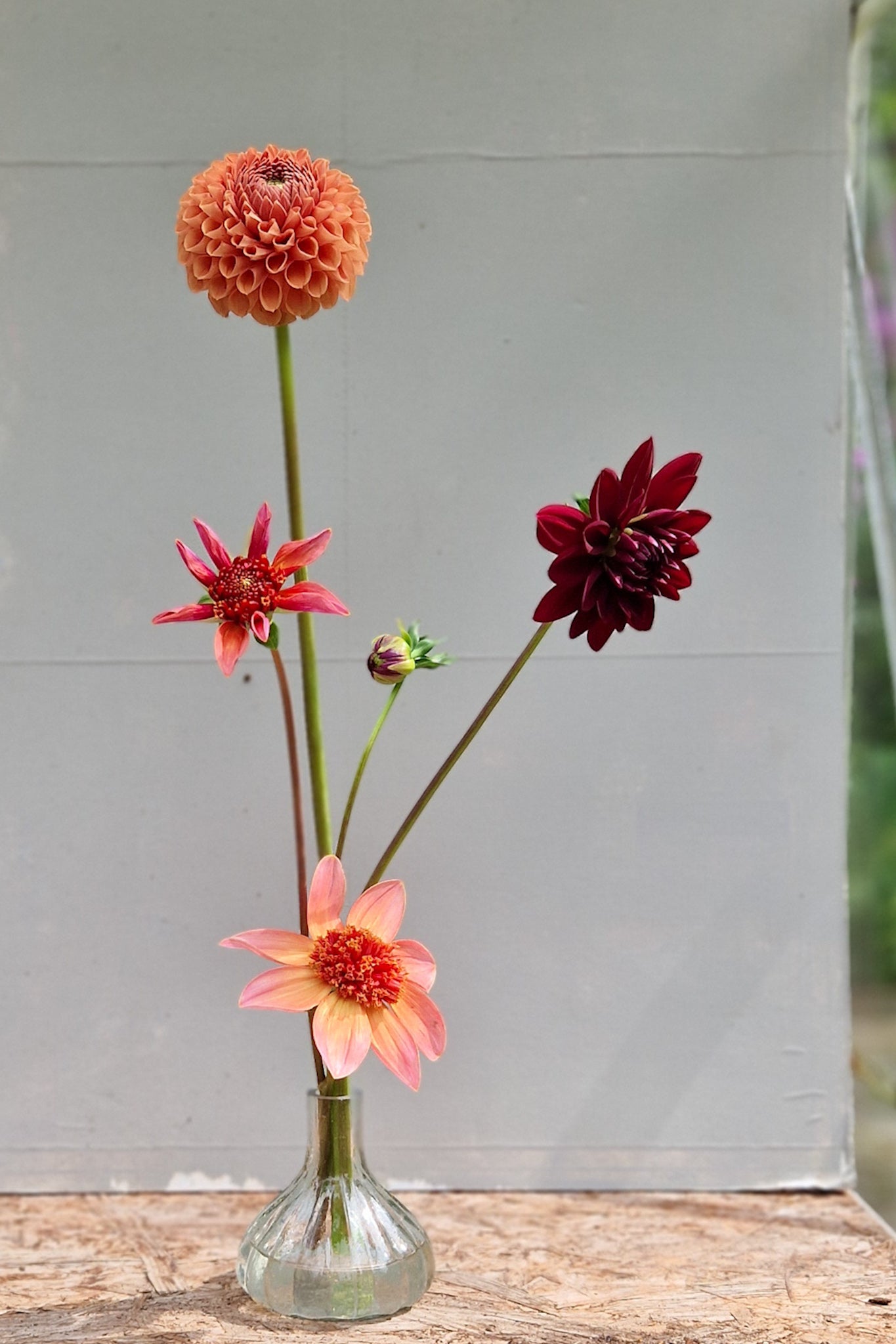 Boeket dahlia's Arabian Night