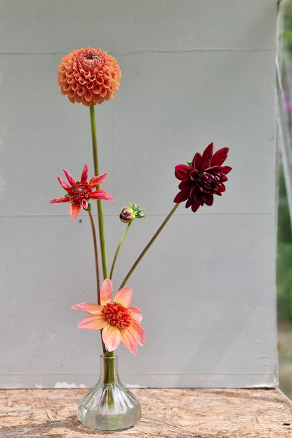 Boeket dahlia's Arabian Night