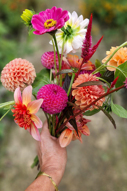 boeket Dahlia's Burlesca