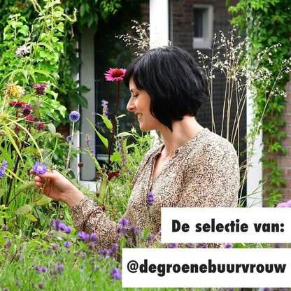 Zadenpakket De Groene Buurvrouw