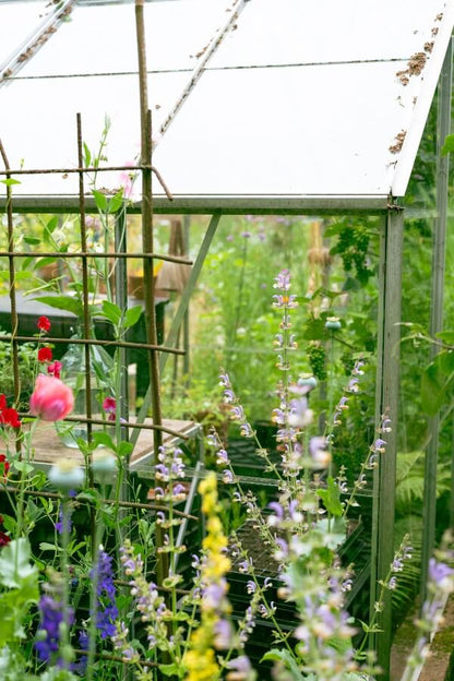 hobbykas met bloeiende bloemen