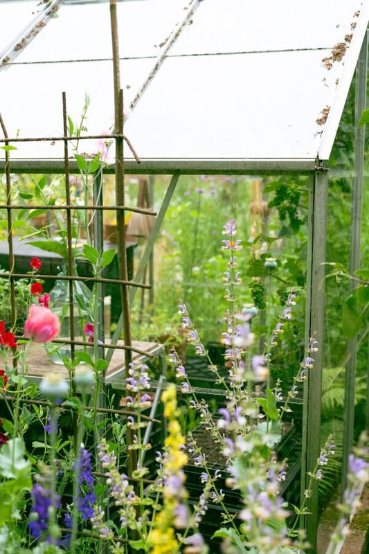 hobbykas met bloeiende bloemen