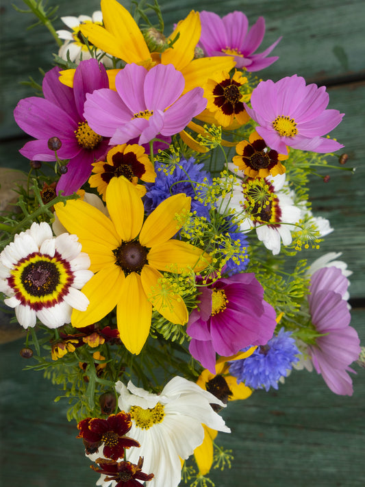 biologische bloemzaden mix voor cottage tuin
