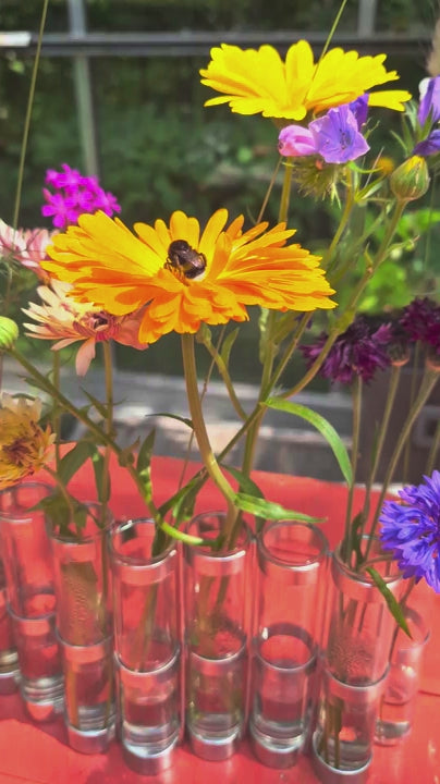 Calendula officinalis - in een vaasje