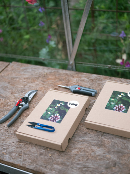 Scharenset met een snoeischaar -bloemenschaar - snipschaar