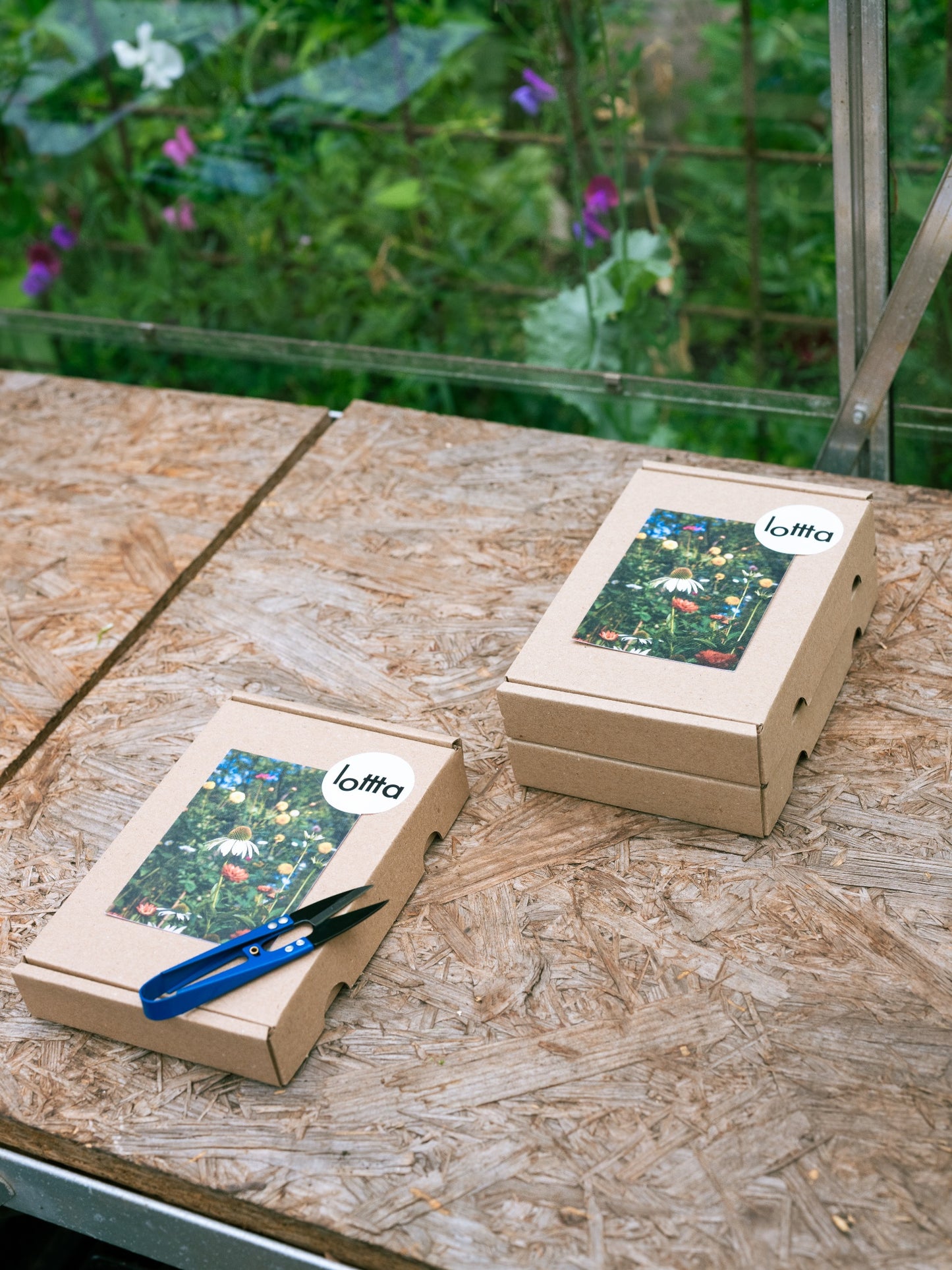 Zadenpakket Makkelijke pluktuin met snipschaar