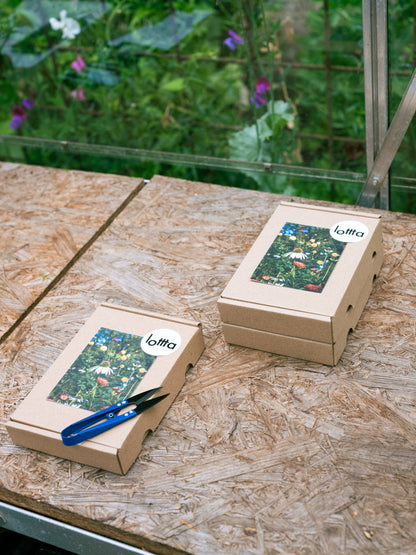 Zadenpakket Makkelijke pluktuin met snipschaar