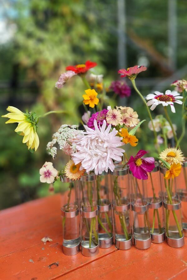 Zomeraster ‘Appleblossom’ - Callistephus chinensis - wit roze - in een vaas