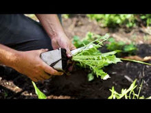 Video laden en afspelen in Gallery-weergave, uitleg gebruik tuinaarde compost
